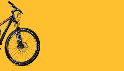 Outdoors<br>and Nature